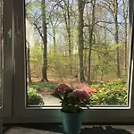 Wilschenbruch Apartament *