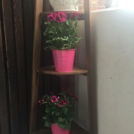 Wilschenbruch Apartman *