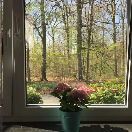 Wilschenbruch Apartman *